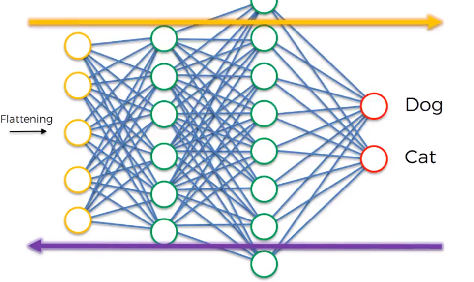 Basic Neural Network